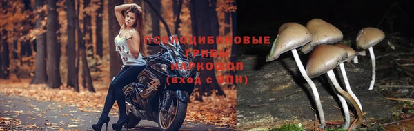 эйфоретик Краснотурьинск